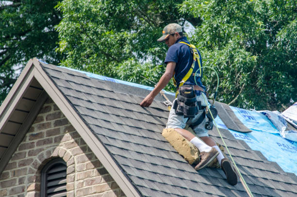 Best New Roof Installation  in Silver Springs Shores, FL