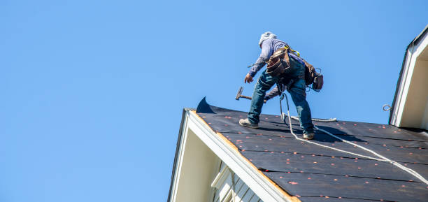 Best Roof Restoration Services  in Silver Springs Shores, FL